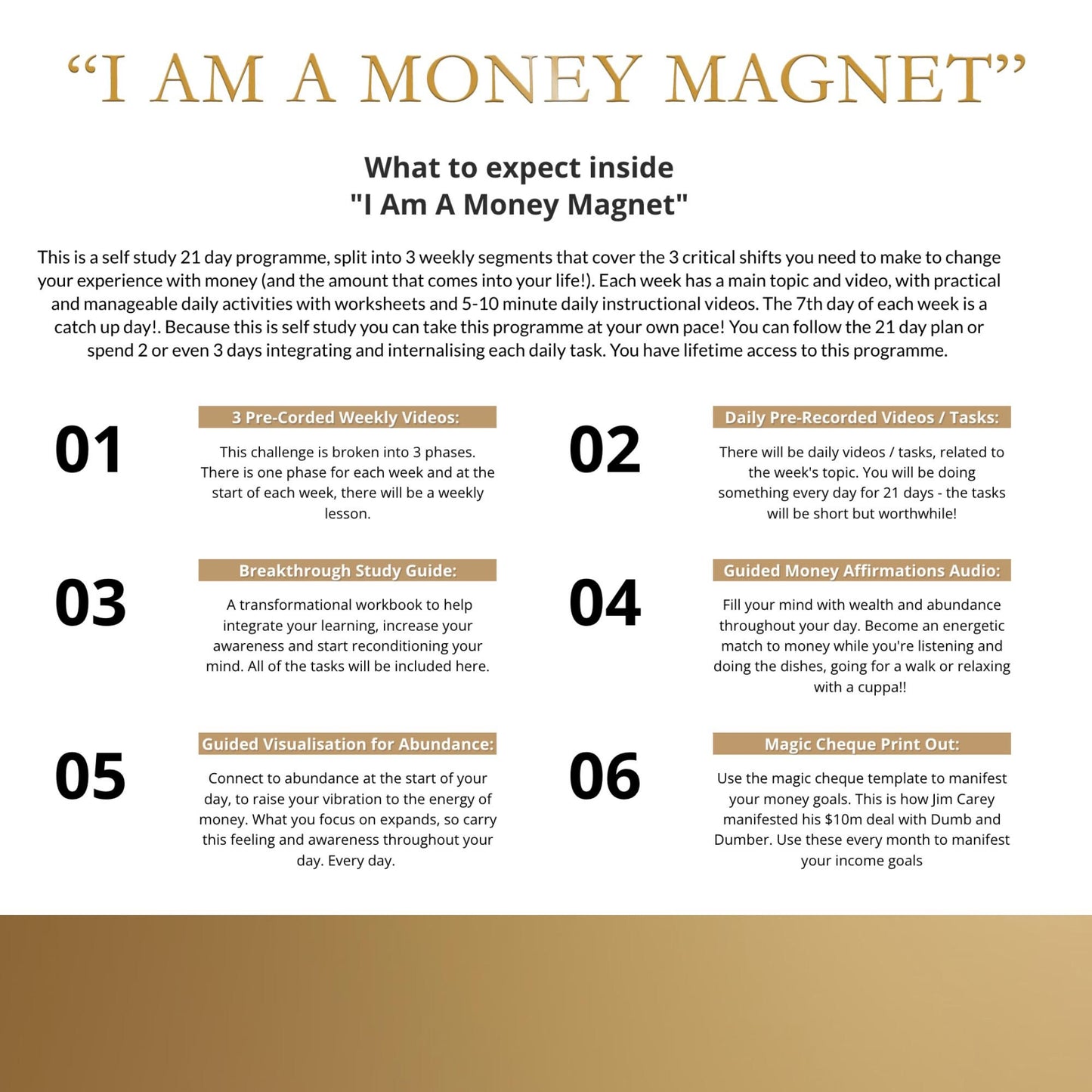 Money Manifestation 21 Day Workshop